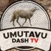 Umutavu Dash TV (@umutavudashtv) Twitter profile photo Umutavu Dash TV (@umutavudashtv) Twitter profile photo