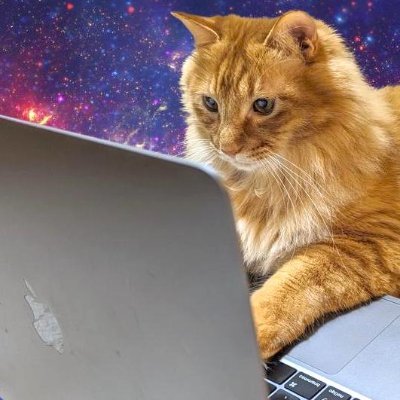 ktr_0731's profile picture. Backend engineer / u-aizu s123