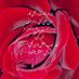 جان (@bhrwz81455) Twitter profile photo جان (@bhrwz81455) Twitter profile photo