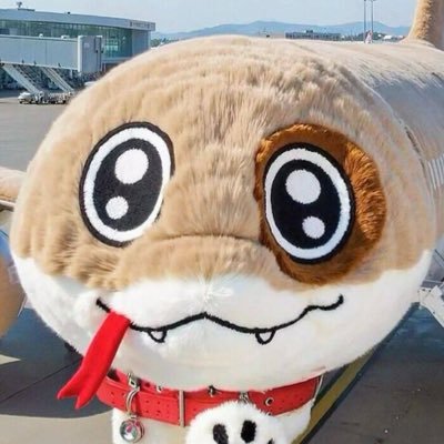 mao2036661's profile picture. 