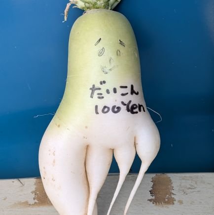 kounago_kurumi's profile picture. 結婚無理そうな婚活中のごく普通のアラサー会社員。
in率は低めです。R5,11,18〜