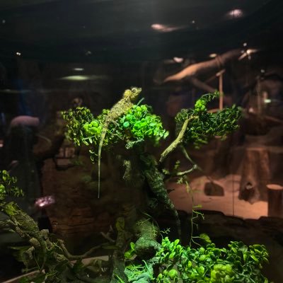 baebaepick's profile picture. be you🩵