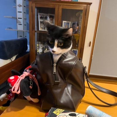 KSSmkDrscGXC5hY's profile picture. 林道を走りたくてセロー250購入 →47歳にもなってエンデューロやってみたくなり2023YZ125X購入 ひたすら練習中 ttr125も購入ミニモト楽しい。WEXやクロスカップに参戦。