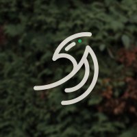 SAiRA / サイラ (@sairabards_here) 's Twitter Profile