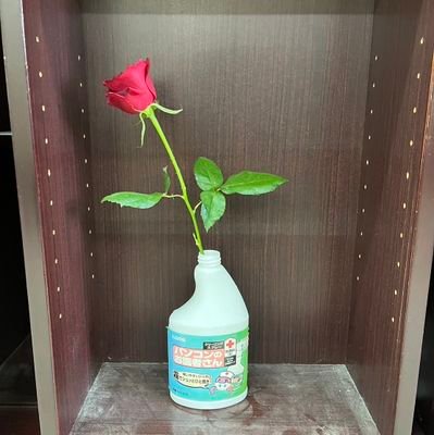 lzhkgyPF3w15212's profile picture. 