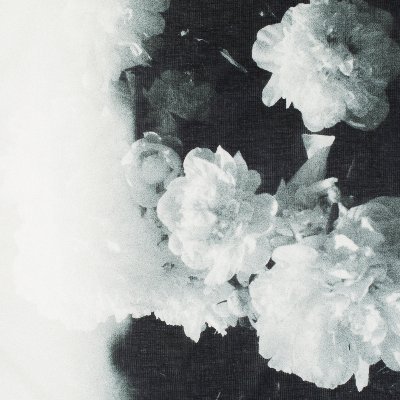 thevedrana's profile picture. has fashion design degree /when not working on my art you can find me in the garden 𓇢𓆸𓏲𓇬𑁍 
🌻fuck fascism🌻