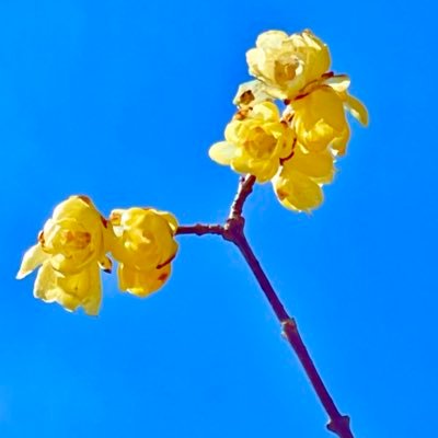 ヤサさんのプロフィール画像