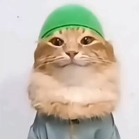Habibuu😺 (@habibuabugoat) 's Twitter Profile
