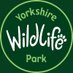Yorkshire Wildlife Park 🦁 (@yorkshirewp) Twitter profile photo Yorkshire Wildlife Park 🦁 (@yorkshirewp) Twitter profile photo