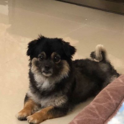 MonkeyDMarks's profile picture. TRG5NEUJ