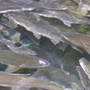 June Sharkey - @JuniusSharkey - Twitter