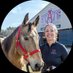 Heidi Banse (@banse_heidi) Twitter profile photo Heidi Banse (@banse_heidi) Twitter profile photo