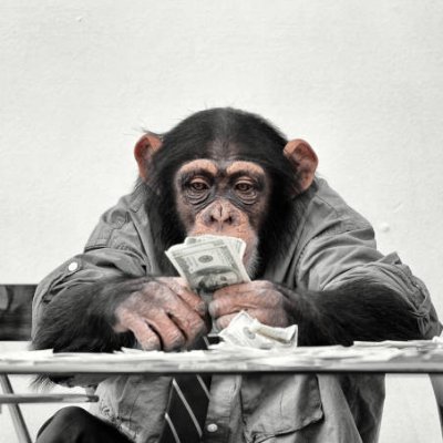 puzzledape's profile picture. CTO @userocket_app

Prev. Tech lead @geniexyz (acq @Uniswap) + 2 YC startups