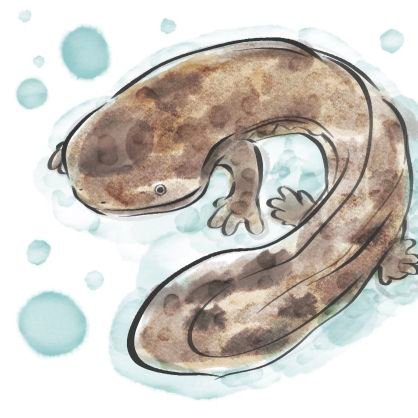 オオサンショウウオ中心に生き物大好き。ゲームとか趣味とか呟く雑多垢（fgo、ﾎﾟｹﾓﾝ色々）