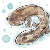 あお (@00luza00) 's Twitter Profile