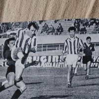 ddaniele (@ddaniele14) 's Twitter Profile