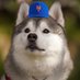 ぜろ (@juan_soto_fan) Twitter profile photo ぜろ (@juan_soto_fan) Twitter profile photo