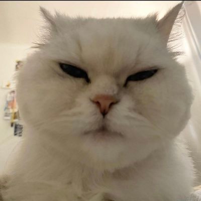 bobertman52's profile picture. 