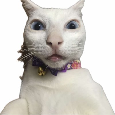 BitcoinHunter_8's profile picture. 