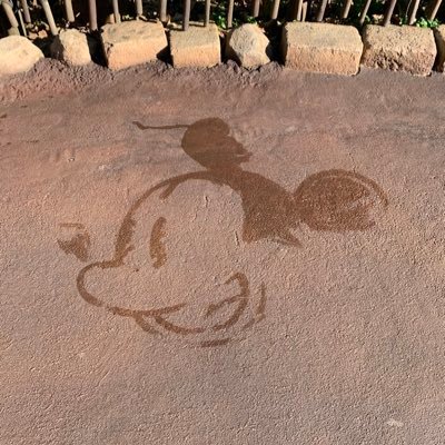 masa24karat's profile picture. 