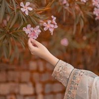 danish khan (@danishk30644261) 's Twitter Profile