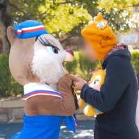 クラリスの頬毛 (@clarice_hohoge) 's Twitter Profile