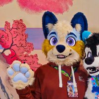 Fulltime Dad (@cardigancorgdad) 's Twitter Profile Photo