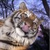 vore (@vorepilled) Twitter profile photo vore (@vorepilled) Twitter profile photo