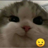 Tublas_Lol (@tublaslol) 's Twitter Profile