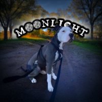 Moonlight (@_moonlight_vai) 's Twitter Profile Photo Moonlight (@_moonlight_vai) 's Twitter Profile Photo