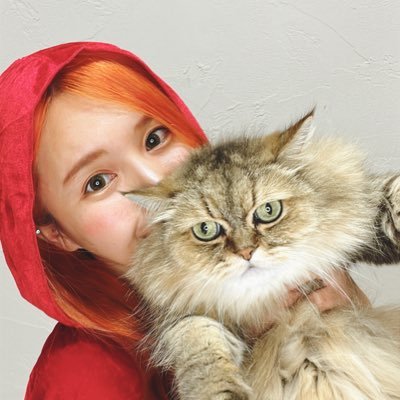 六本木のバーレスクannex YAVAYダンサーのビビです🐱 にゃんちゃんかわいー🐱🐱🐱🐱遠隔応援サイト作ってもらいました😻