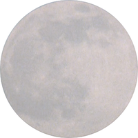p (@perwiio) 's Twitter Profile Photo