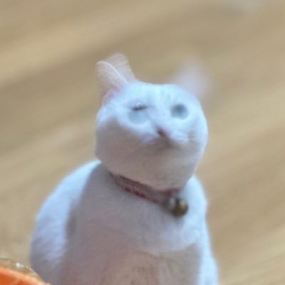 Inezさんのプロフィール画像