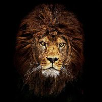 चंबल की आवाज (@769770ms) 's Twitter Profile