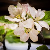 Harvard Museum (@harvardmuseum) 's Twitter Profile Photo Harvard Museum (@harvardmuseum) 's Twitter Profile Photo
