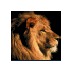 Alan Glass - @alan_glass - Twitter