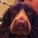 Lucy Britton - @britton_lucy - Twitter