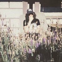 violet teethdreamer (@teethdreamer) 's Twitter Profile
