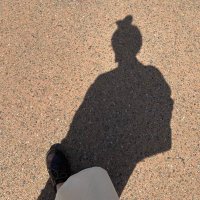 お豆腐 (@pr_py_megane) 's Twitter Profile