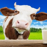 themilkman (@jerrykirby54) 's Twitter Profile Photo themilkman (@jerrykirby54) 's Twitter Profile Photo
