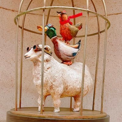 2_5_g_r's profile picture. 