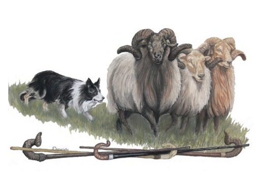 Stadsbegrazing's profile picture. 