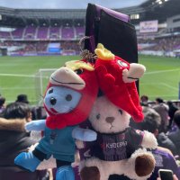 ぽんぬ (@ponnuto) 's Twitter Profile