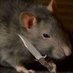 Rat with a knife🐀 (@herotherogue) Twitter profile photo Rat with a knife🐀 (@herotherogue) Twitter profile photo