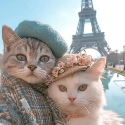 CidemMZKLI's profile picture. İÇÜ