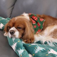 Greg (@hagertx) 's Twitter Profile Photo