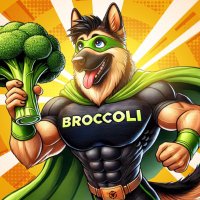 $BROC ON BNB (@brocwtf) 's Twitter Profile