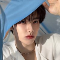 보보 (@bobohao_) 's Twitter Profile