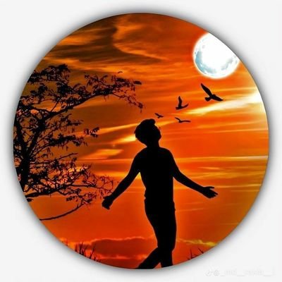 kld282's profile picture. 