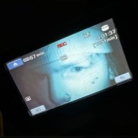 freddy (@mollyfeeling) Twitter profile photo